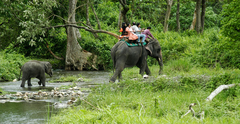 Gorumara National Park